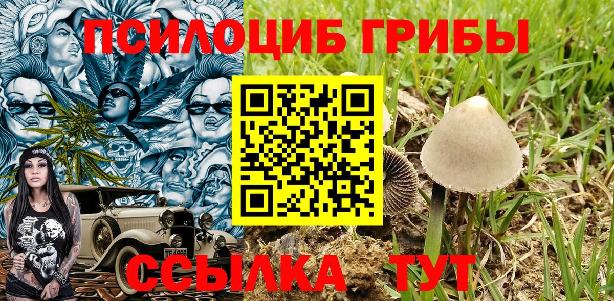 Псилоцибиновые грибы Magic Shrooms Северск